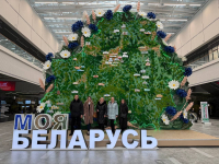 Выставка достижений суверенной Беларуси "Моя Беларусь" проходит в Минске